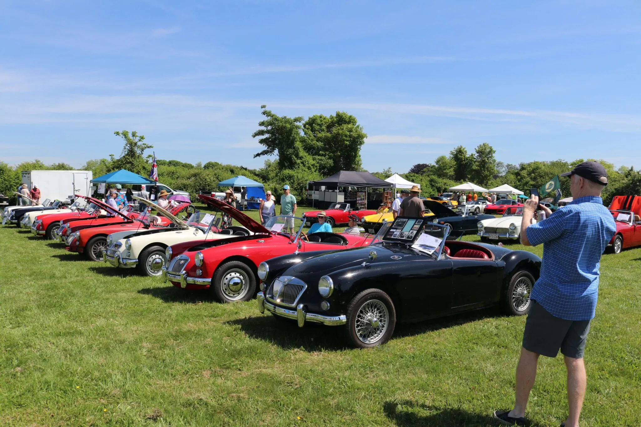 Several MGAs, classic British sports cars, are displayed at a sunny outdoor gathering with spectators.