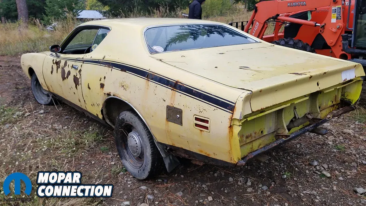 Side profile showing fender damage from moose collision