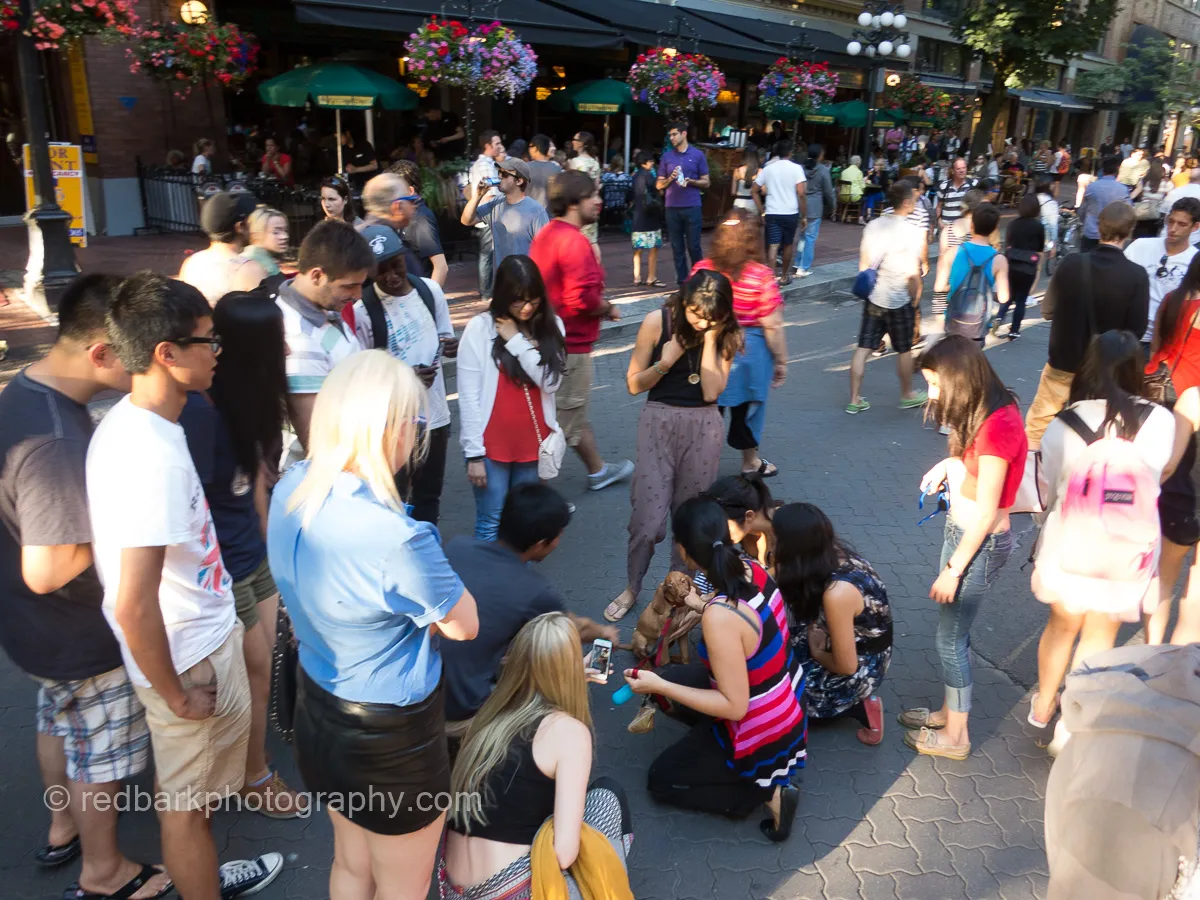 Socialization to the max!