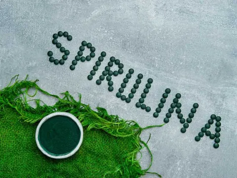 Spirulina powder and fresh spirulina in bowls with a dog looking on curiously