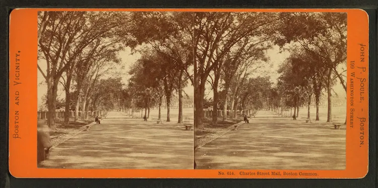 Stereoscopic viewer and photos demonstrating 3D perception.