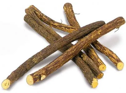 Sticks are a definite no-no for all of our dogs, emphasizing safety