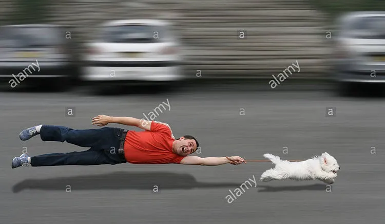 Stock photo style.