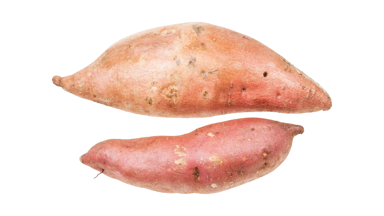 Sweet potato benefits for active German Shepherds