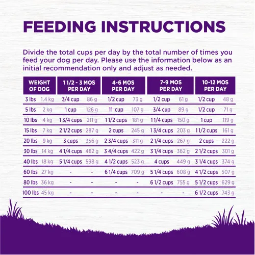 Table illustrating the feeding guidelines for puppies of different weights and ages, including notes for pregnant or nursing dogs