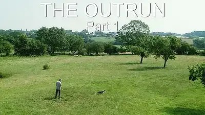 Teaching a sheepdog to do outruns, and gather sheep