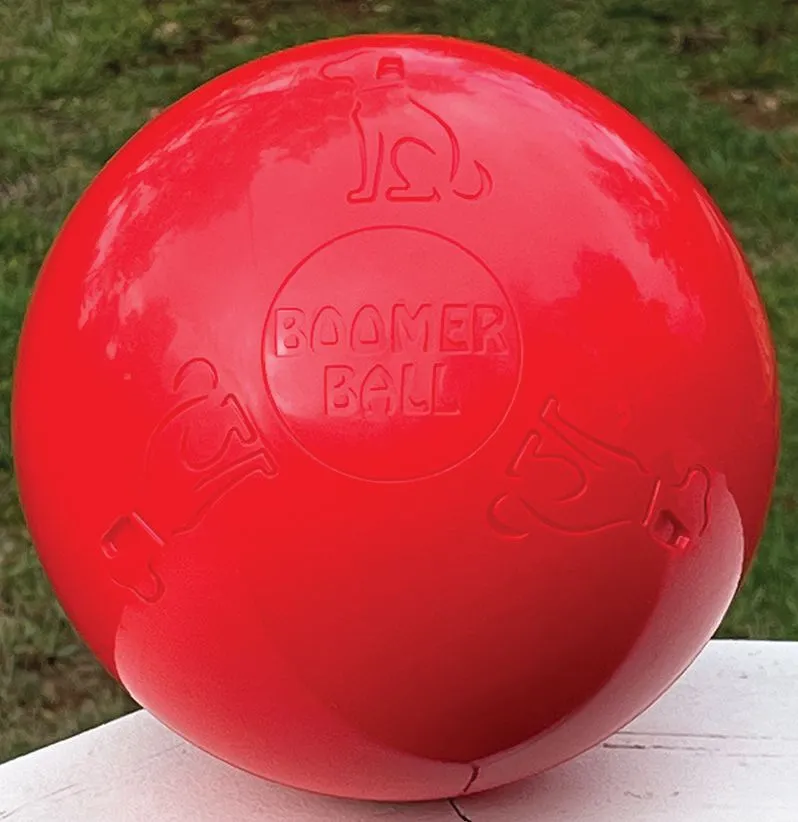 This is the Boomer Ball from Company of Animals. It’s made of “virtually indestructible” polyethylene.