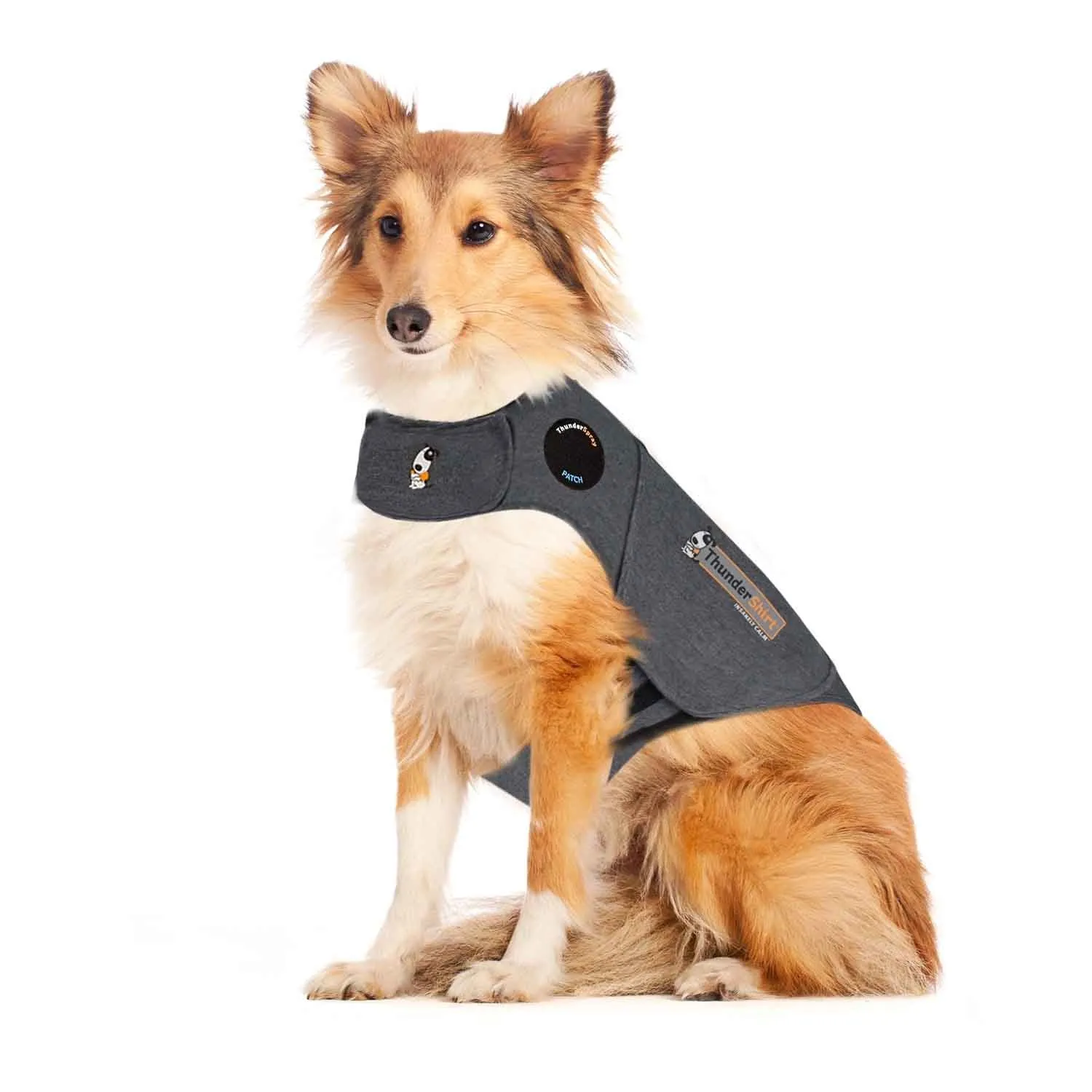 ThunderShirt for Dogs Original Heather Gray on medium-sized dog
