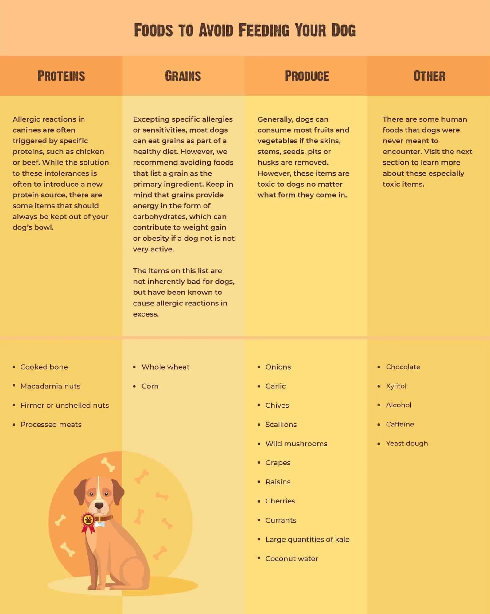 Toxic foods for dogs