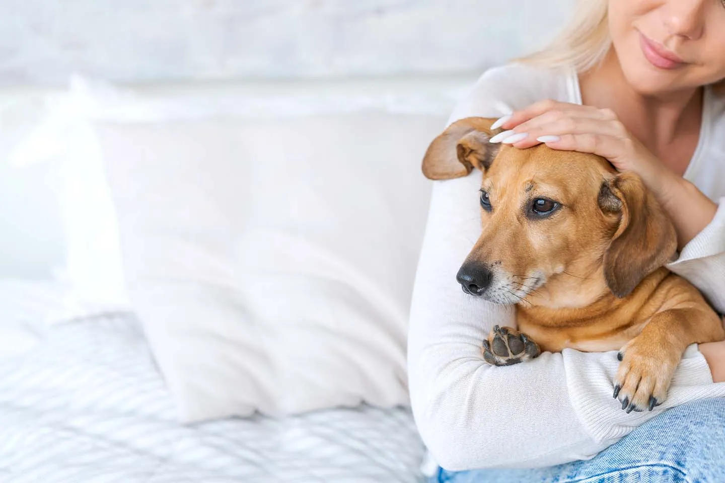 Urgent Vets for Pets clinic exterior and welcoming atmosphere