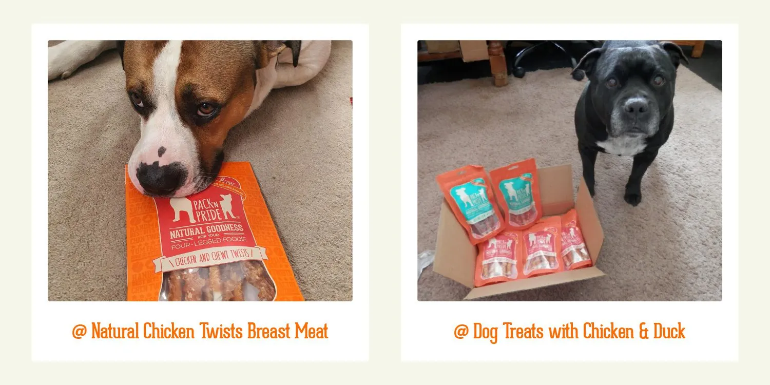 Various Packnpride pet treat varieties displayed