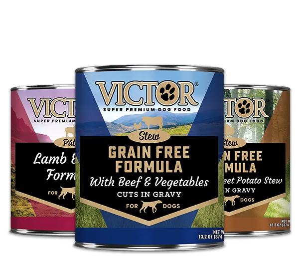 Victor canned dog food trio