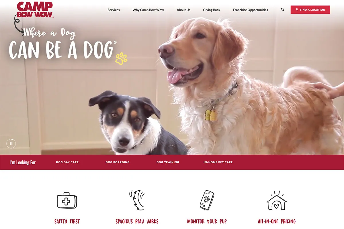 Video background showing dogs playing at Camp Bow Wow's facility