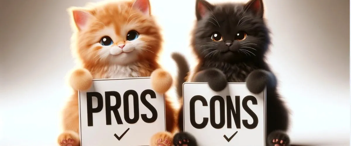 Visual representation of pros and cons, highlighting key features and drawbacks of a product.