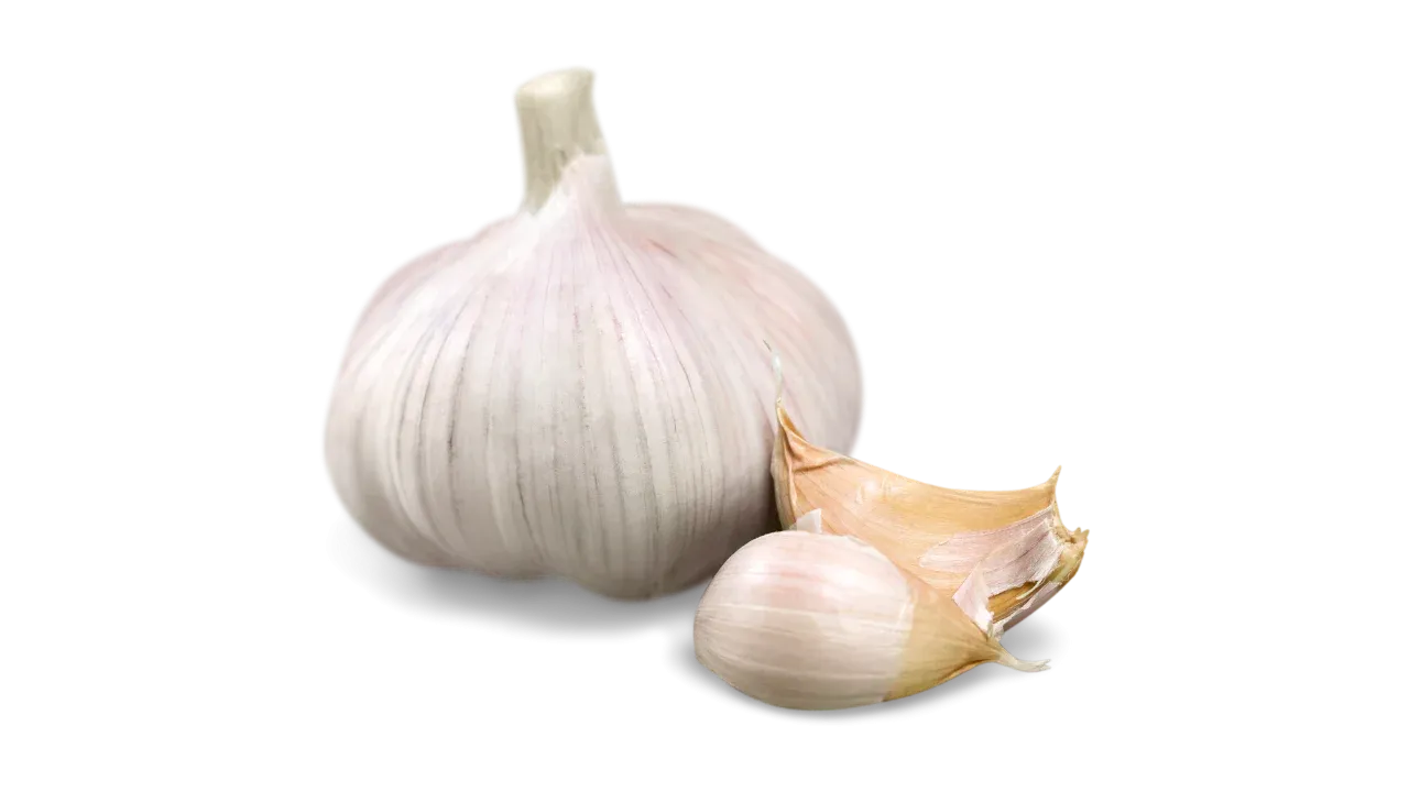 Warning: Garlic toxicity risks for German Shepherds