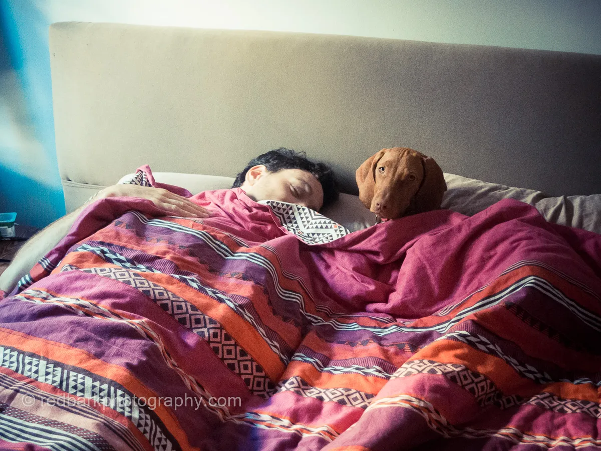 Whiskey totally preferred the bed (and still does)