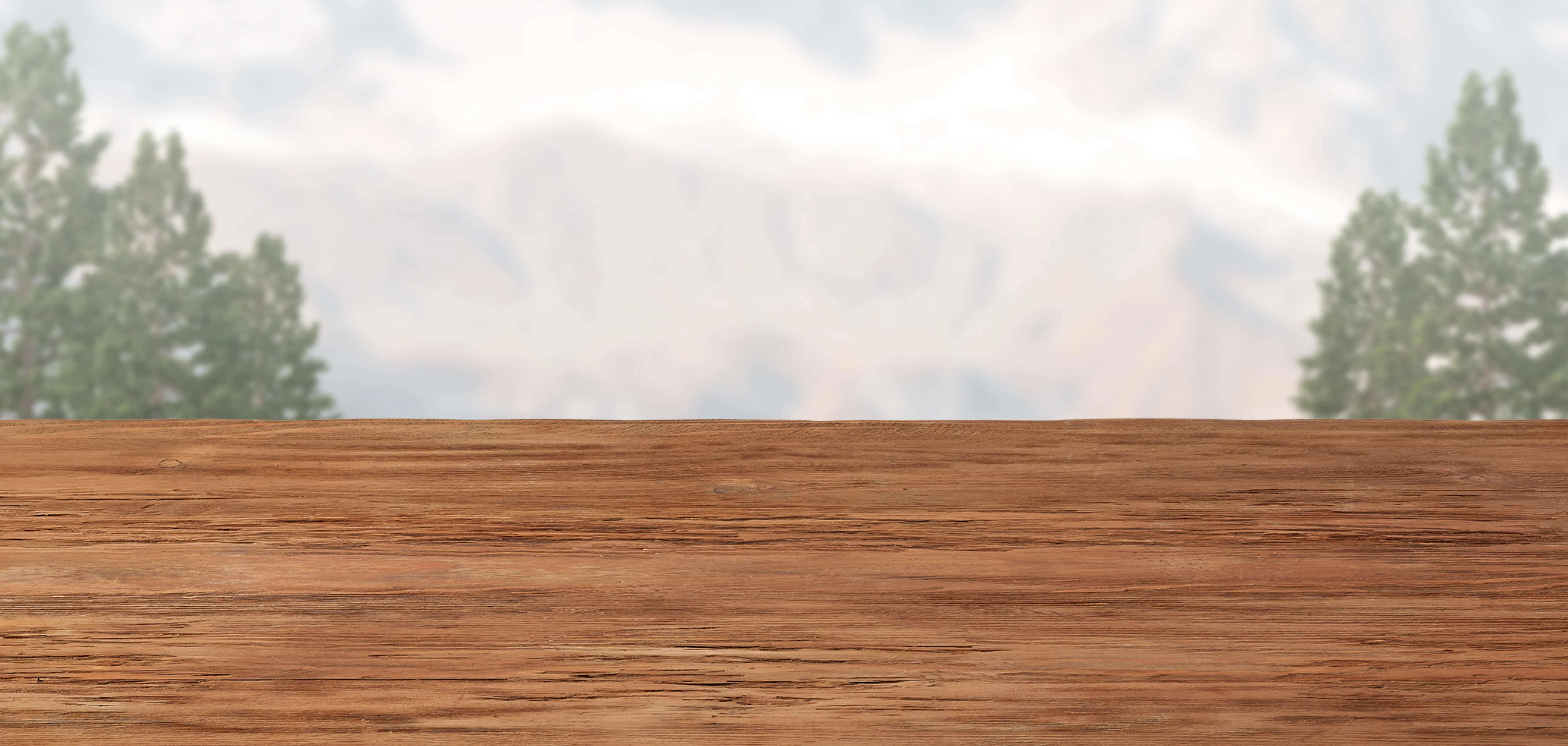 Wilderness Dog dry food hero background