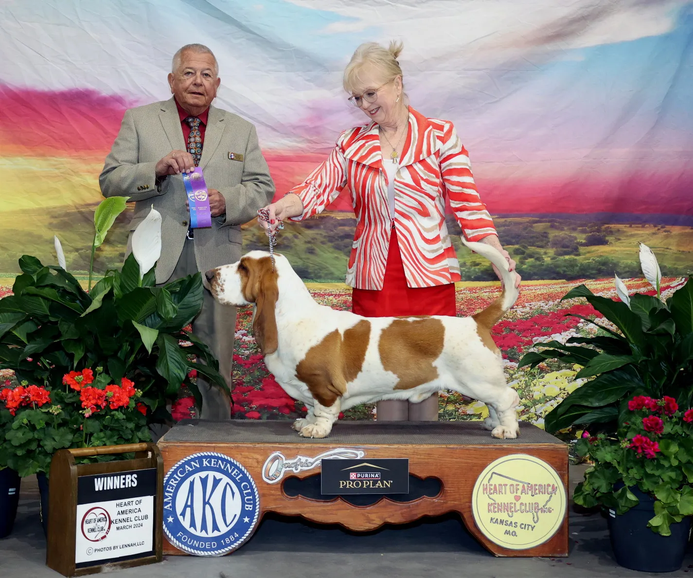 Willie as champion