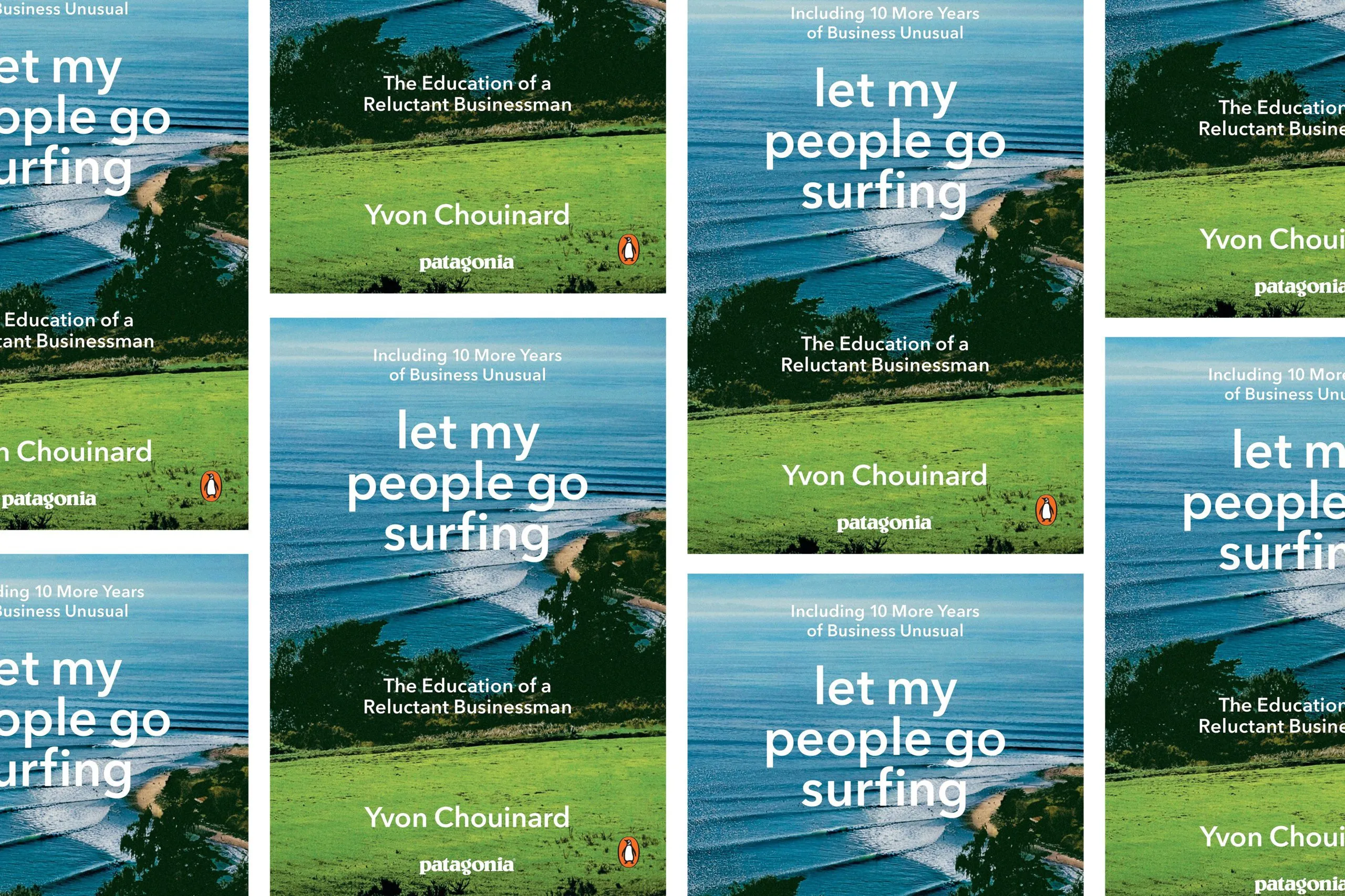 Yvon Chouinard, founder of Patagonia, standing in a rugged outdoor setting