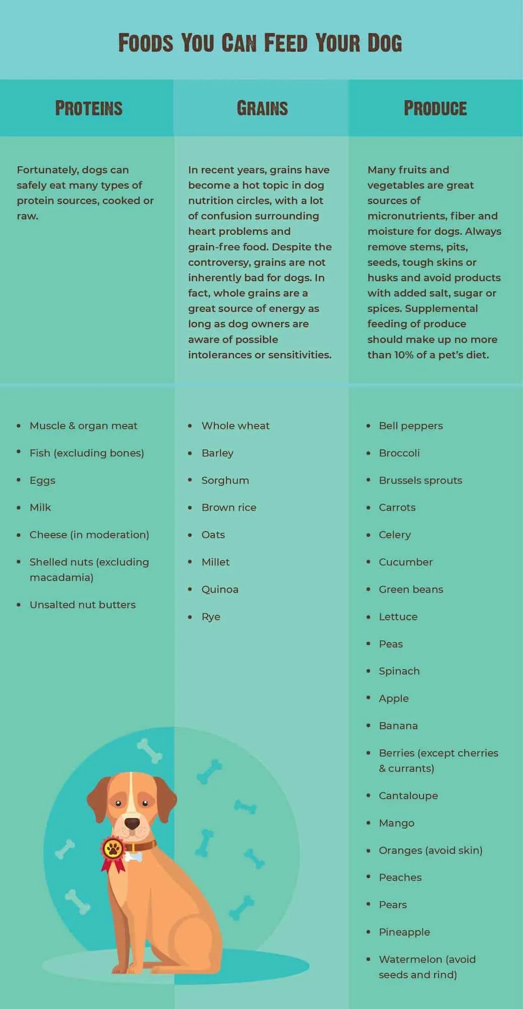A graphic illustrating various human foods and whether they are safe or unsafe for dogs.