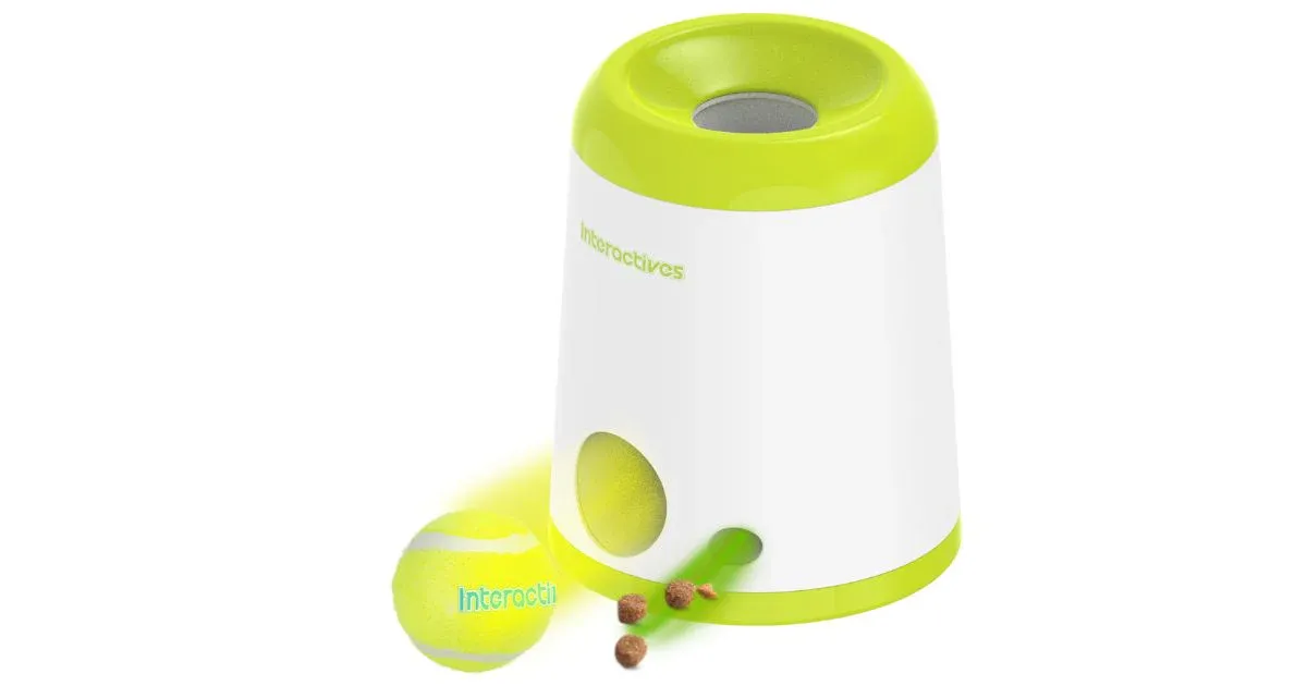 All For Paws Interactives Fetch