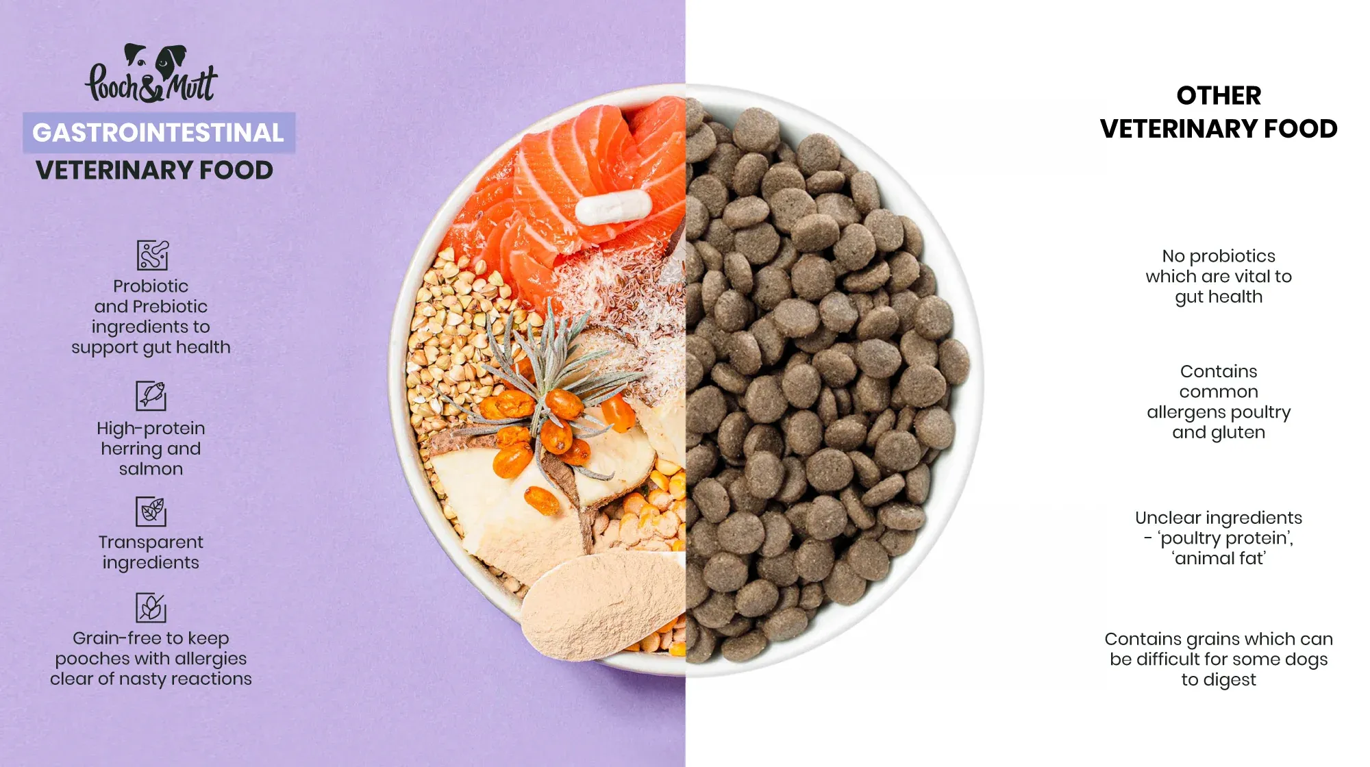 dog food comparison infographic