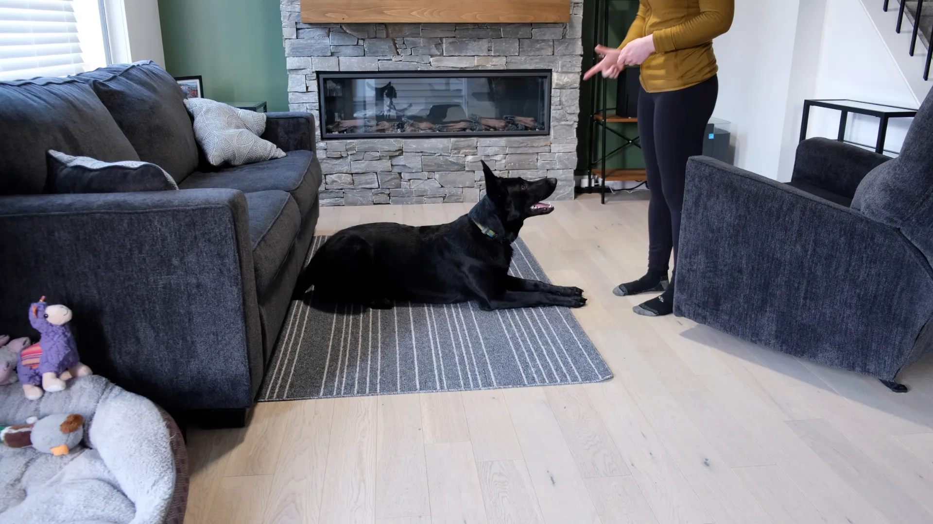 Guiding the dog while standing