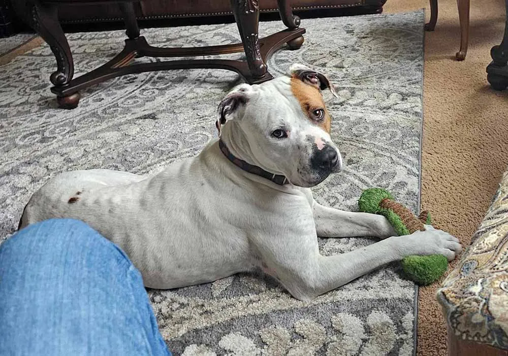 Max with Toy