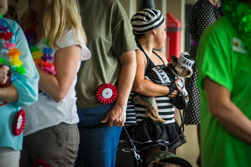 Pet Parade