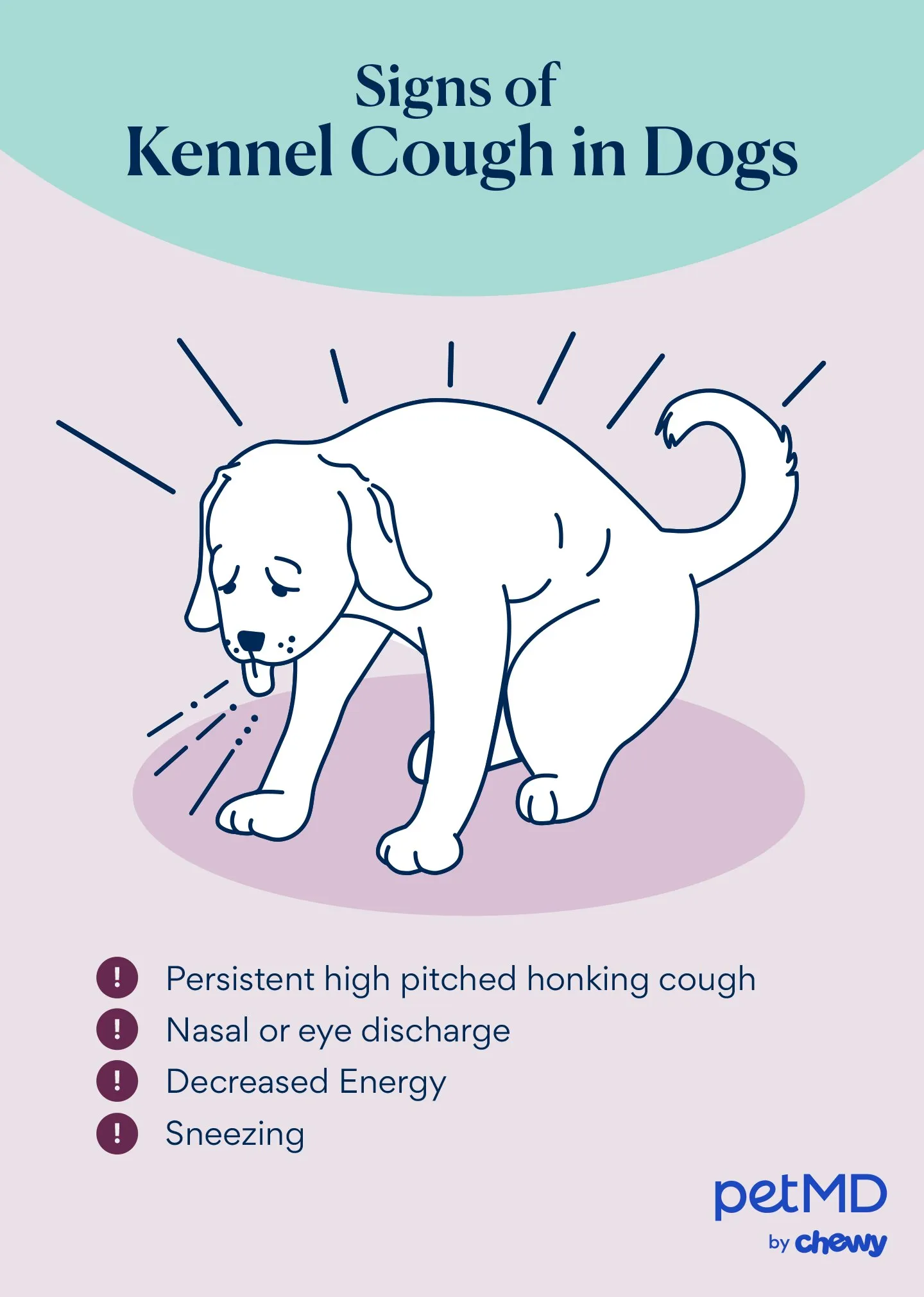 Signs of kennel cough in dogs