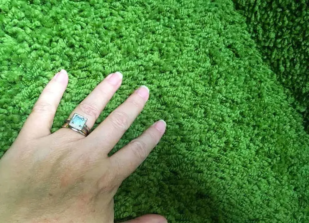 The Jungle Room's iconic shag pile carpet extends to the walls.