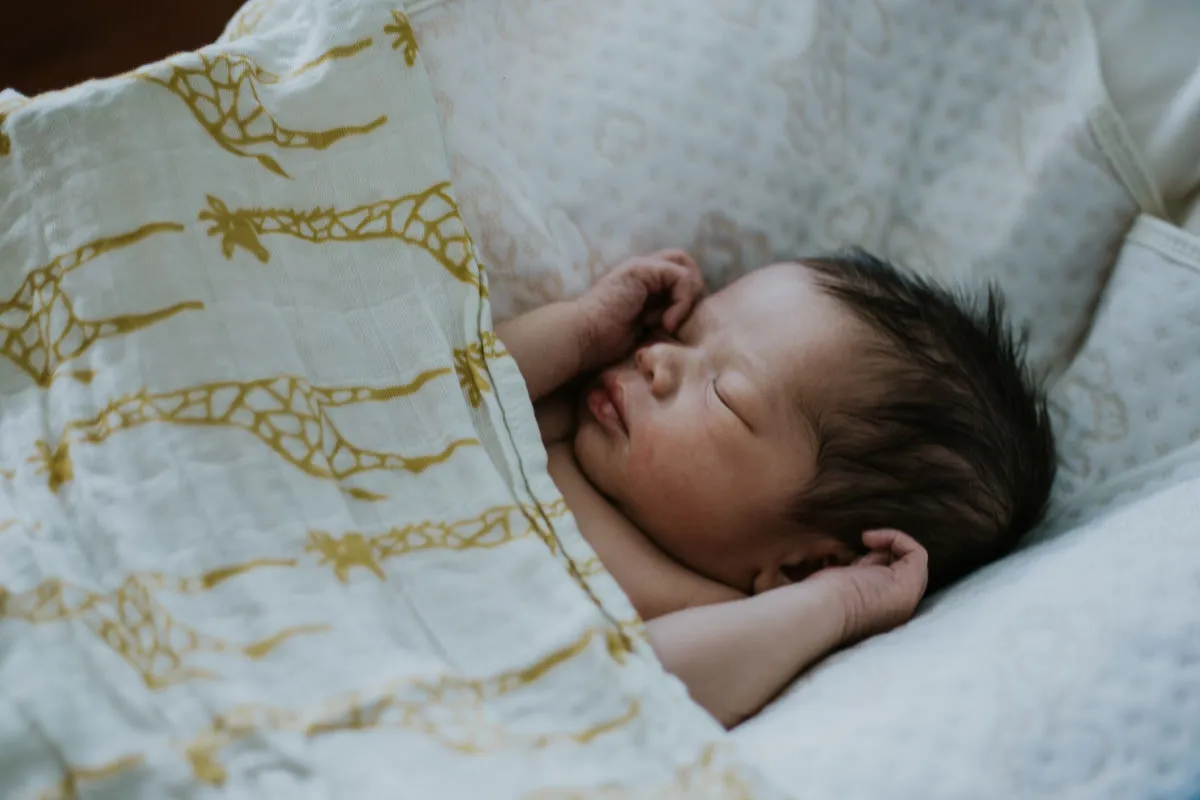 The photographer's dedication to capturing authentic moments.