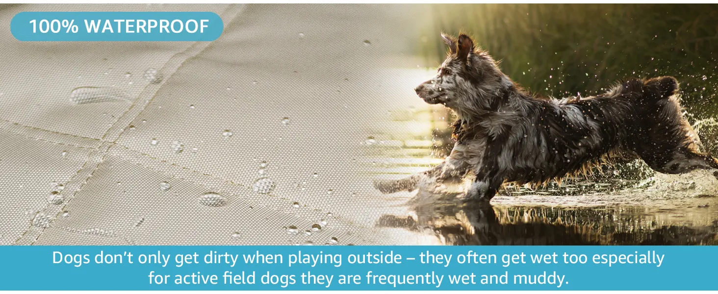 100% Waterproof Seat Cover for Dogs in Car