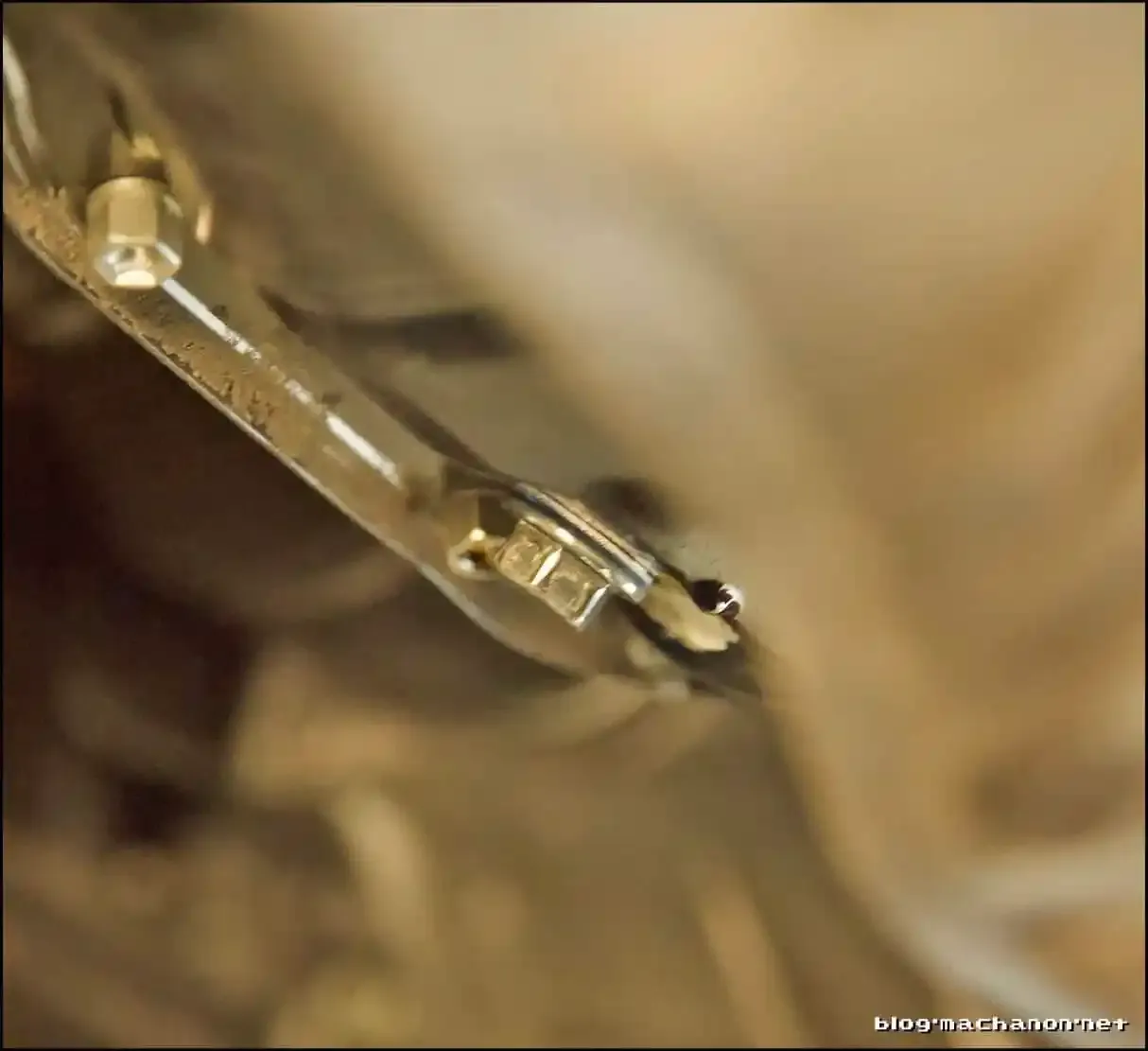 3rd gen Prius oil drain bolt