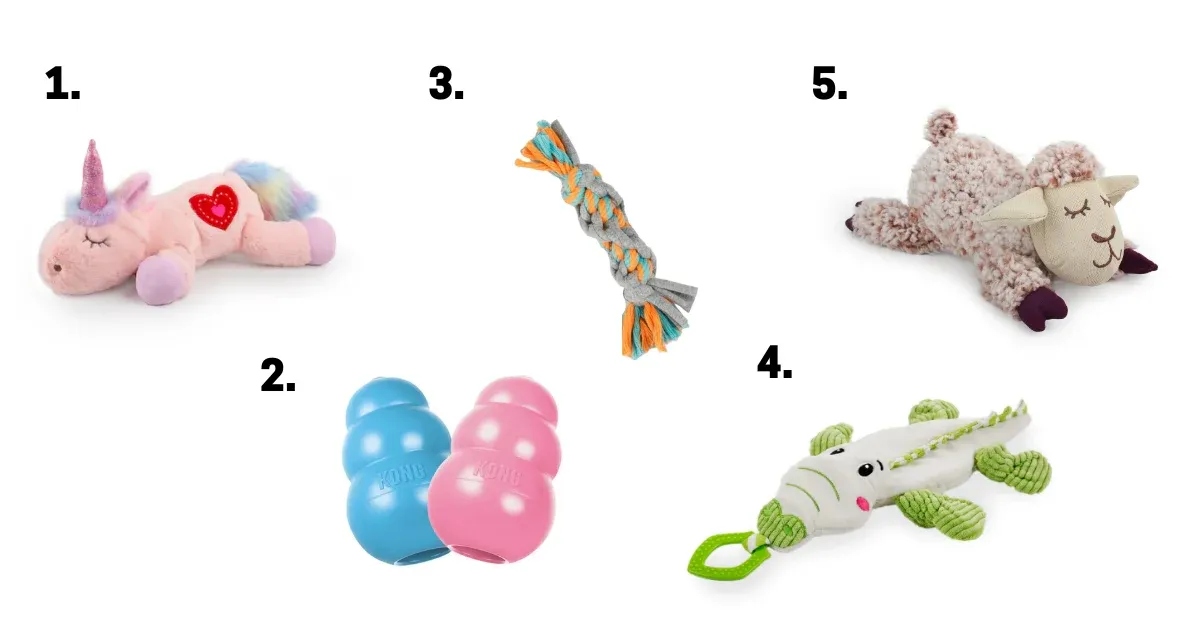 5 Best Toys for Puppies to Keep Them Busy