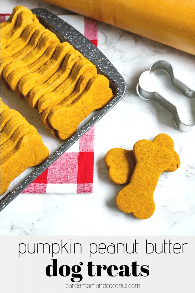 A beautifully presented plate of pumpkin peanut butter dog treats.
