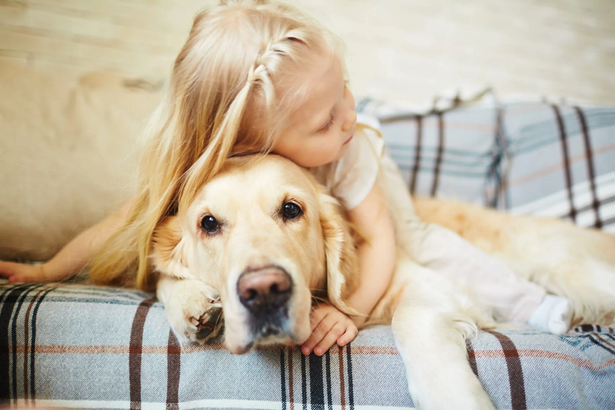A blonde girl hugging a dog