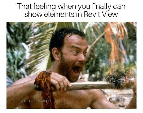 A meme illustrating the triumph of finally making a Revit element visible in a difficult view.