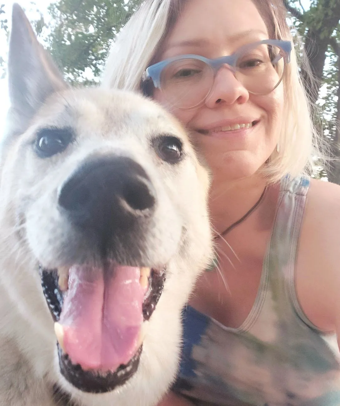 A person petting a dog.