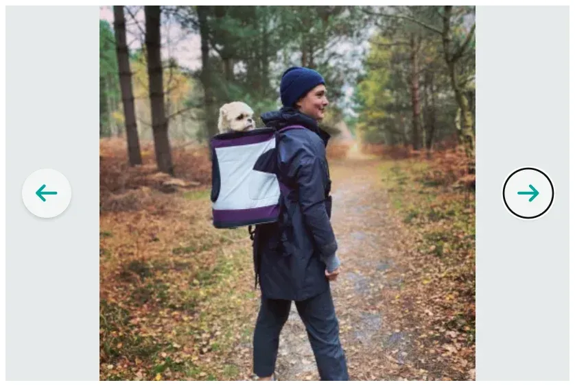 A photo of Lucy and Coco the dog on her TrustedHousesitters profile - photo for my TrustedHousesitters review