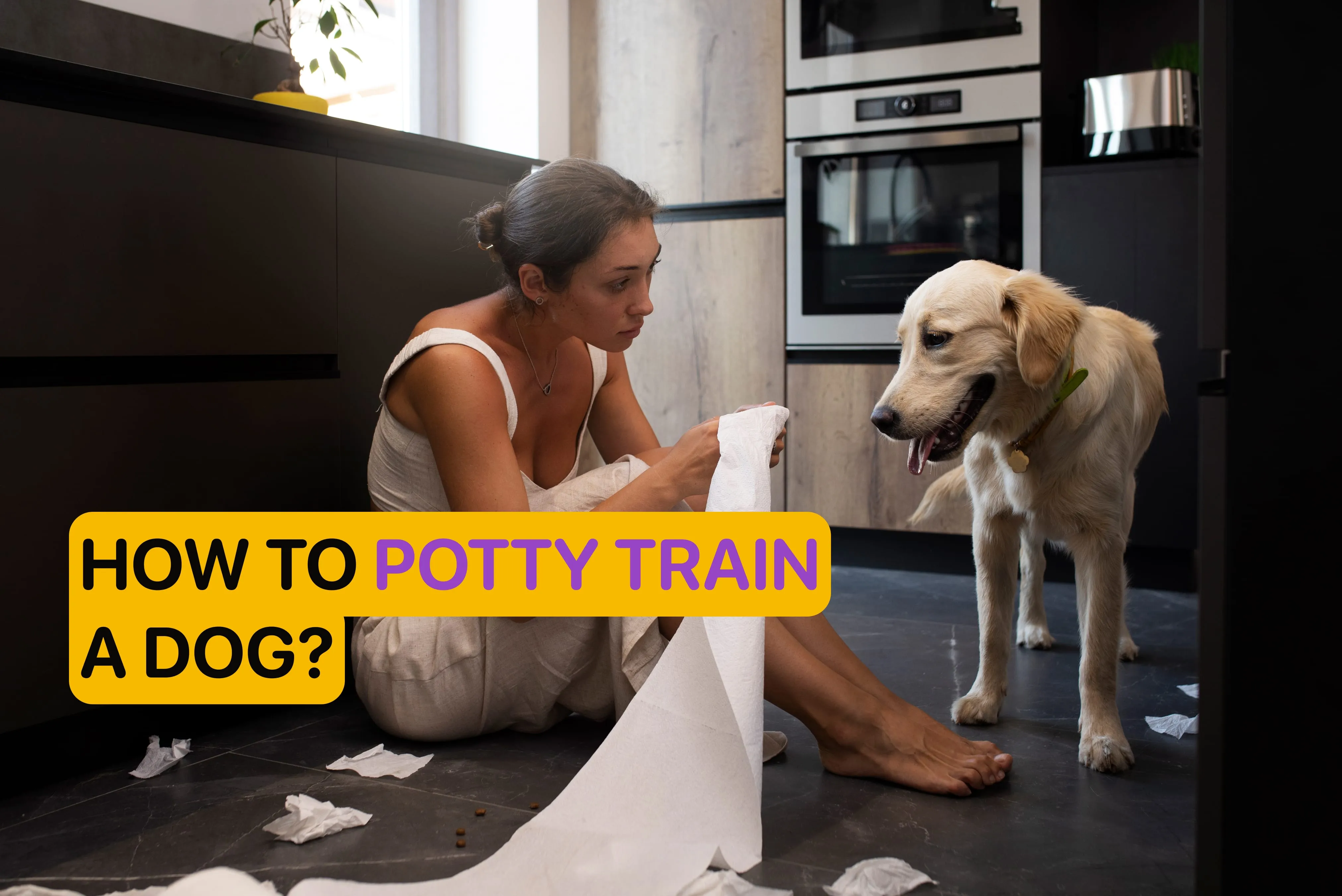 A puppy being trained by its owner