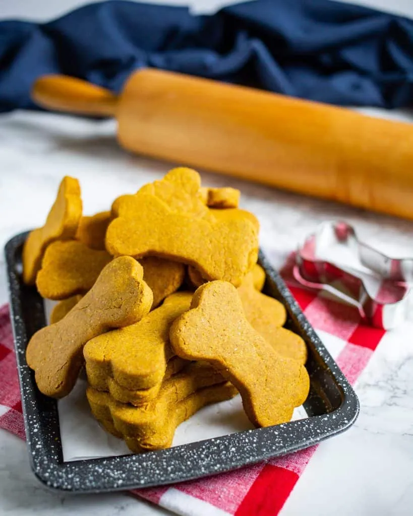 A selection of freshly baked pumpkin peanut butter dog treats.