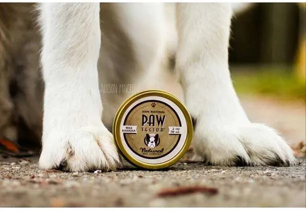 Dog using PawTection