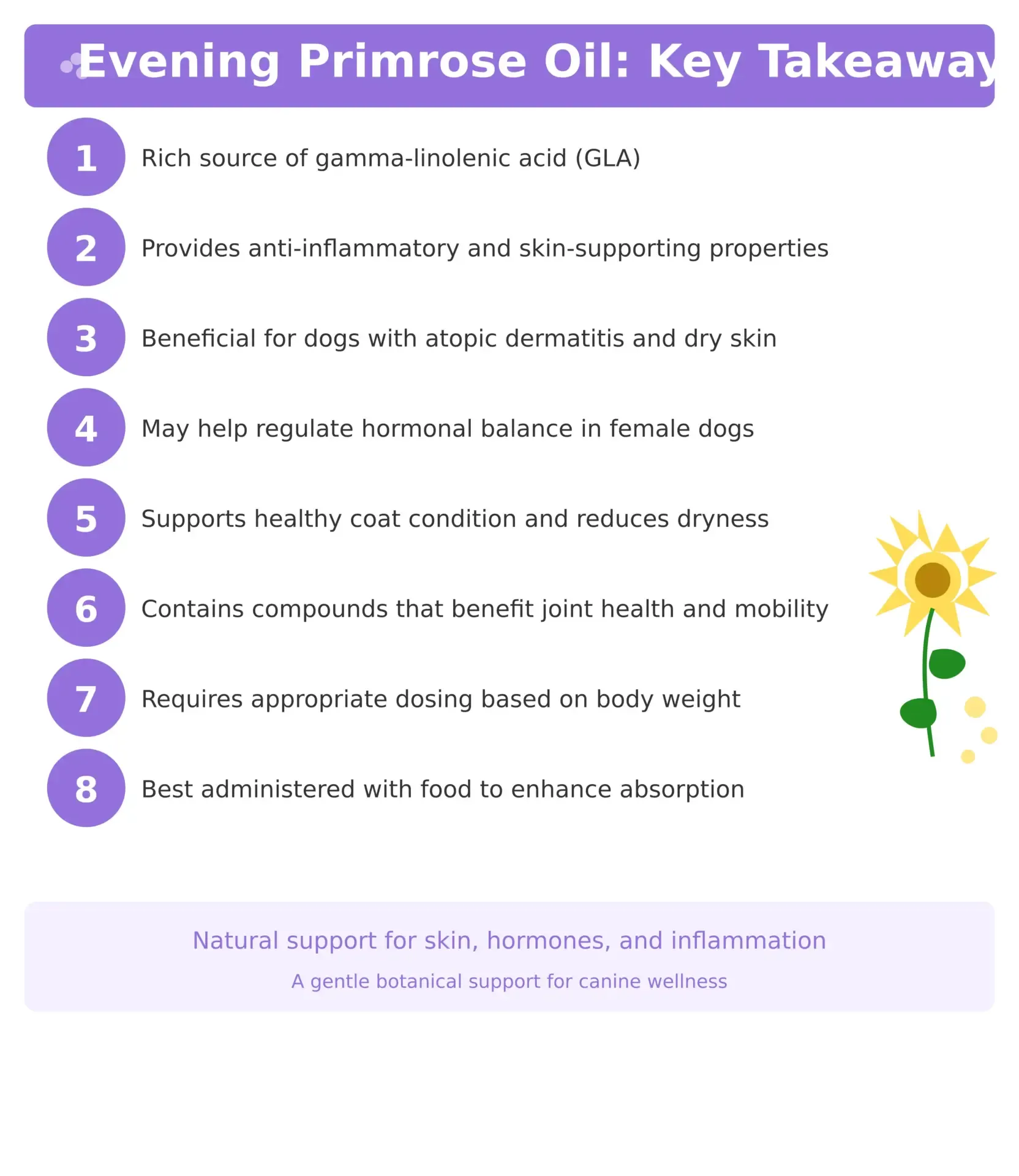 Evening Primrose Oil for Dogs Key Takeaways
