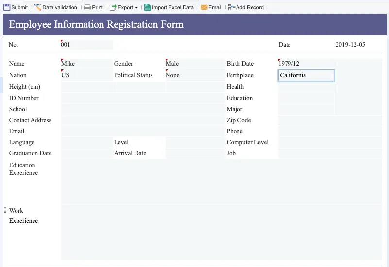 Excel Data Entry with FineReport