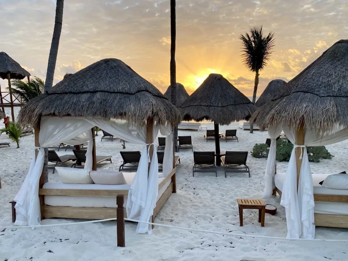 Excellence Club Beach Loungers