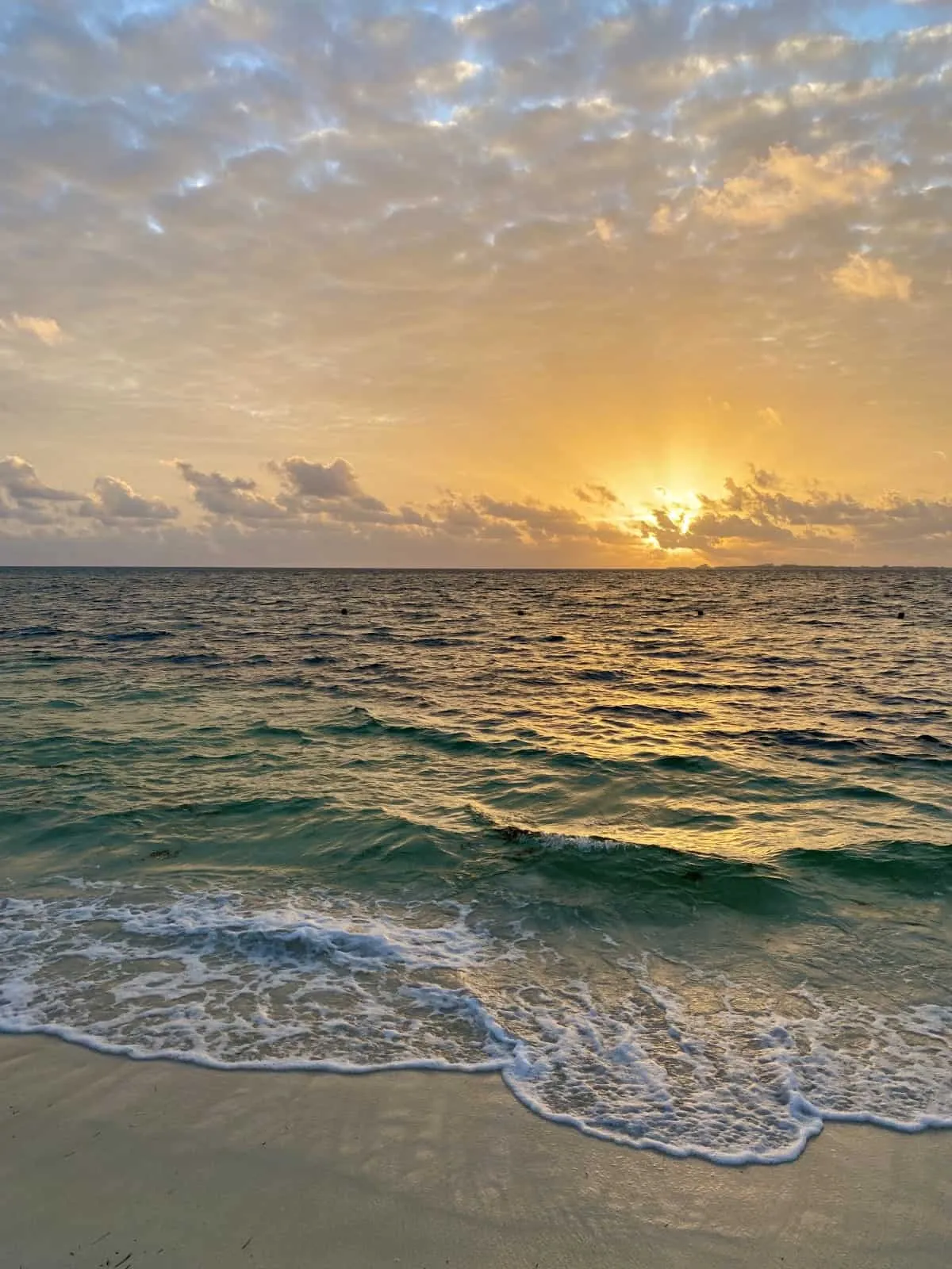 Excellence Playa Mujeres Transfer