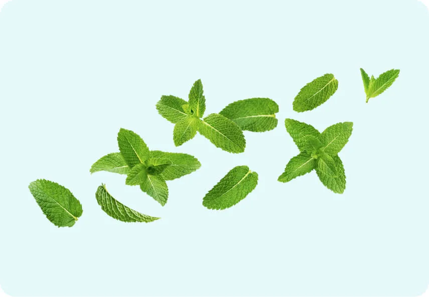 Fresh mint