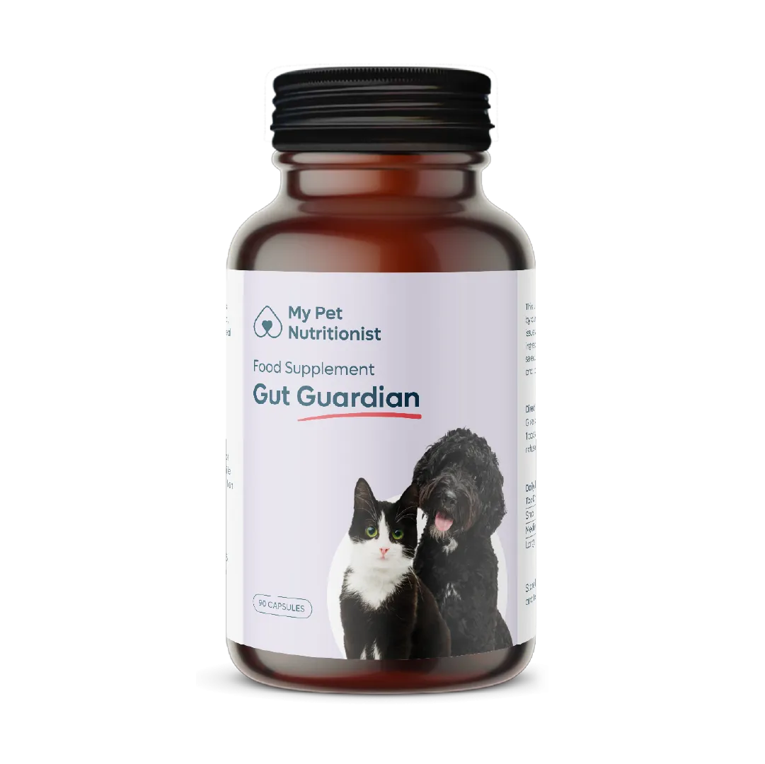 Gut Guardian supplement