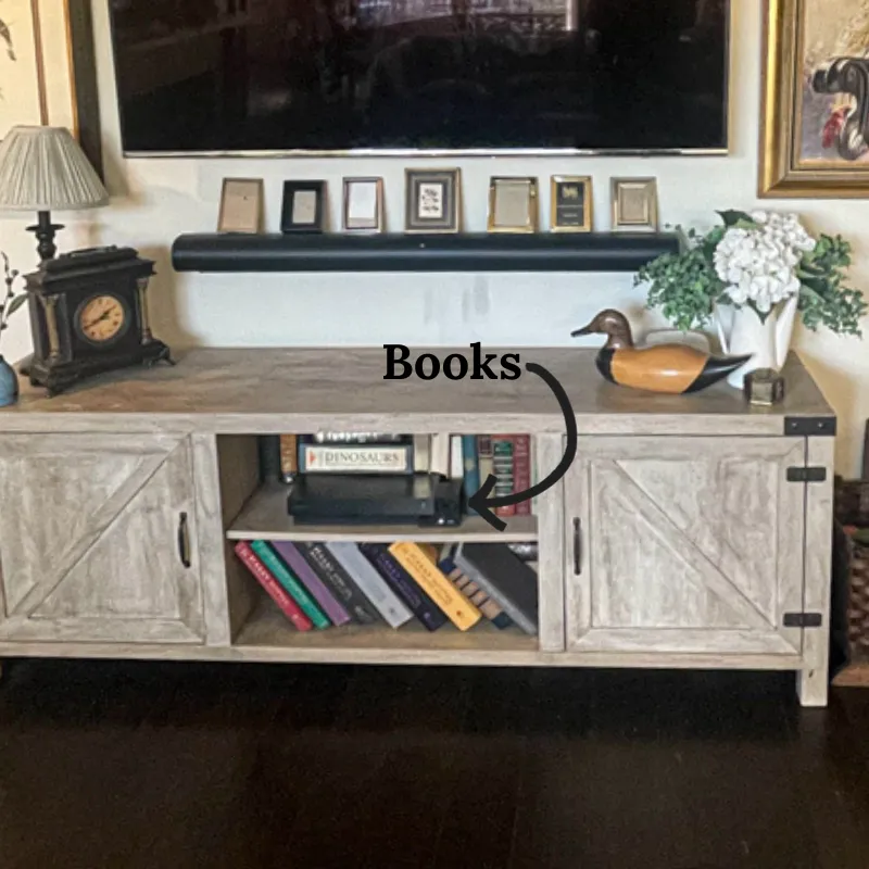 Hide The Xbox With Books Around It